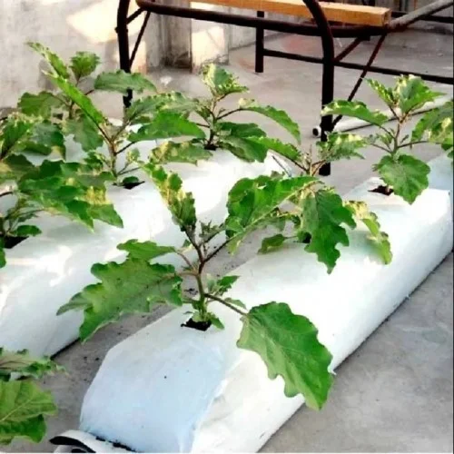 Closed Grow Bags