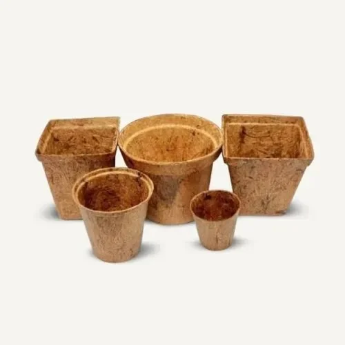 Coir Baskets