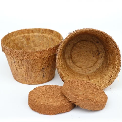 Coir Baskets