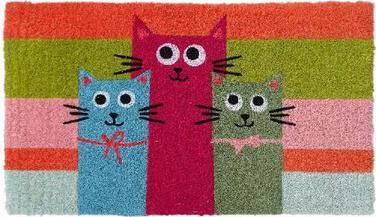 Mats and Rugs Floorings